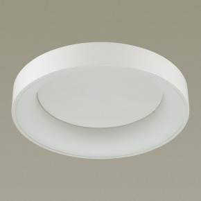 Накладной светильник Odeon Light Sole 4062/50CL в Чайковском - chaykovskiy.mebel24.online | фото 4