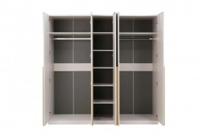 НИКОЛЬ 25 Шкаф 5-ти створчатый в Чайковском - chaykovskiy.mebel24.online | фото 3