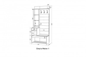 ОЛЬГА-МИЛК 1 Прихожая в Чайковском - chaykovskiy.mebel24.online | фото 2
