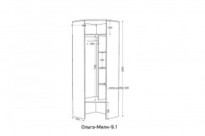 ОЛЬГА-МИЛК 9.1 Шкаф угловой без зеркала в Чайковском - chaykovskiy.mebel24.online | фото 2