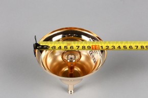 Подвесная люстра Aployt Daniele APL.701.03.12 в Чайковском - chaykovskiy.mebel24.online | фото 6