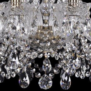 Подвесная люстра Bohemia Ivele Crystal 1411 1411/10/195/Pa в Чайковском - chaykovskiy.mebel24.online | фото 3