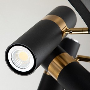 Подвесная люстра Favourite Light point 2997-9P в Чайковском - chaykovskiy.mebel24.online | фото 5