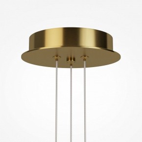 Подвесная люстра Maytoni Arana MOD401PL-L108BS3K в Чайковском - chaykovskiy.mebel24.online | фото 7