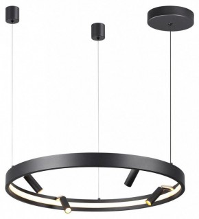 Подвесная люстра Odeon Light Fonda 4317/58L в Чайковском - chaykovskiy.mebel24.online | фото 4