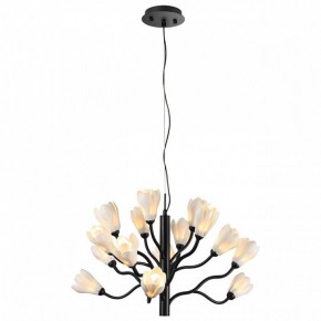 Подвесная люстра Odeon Light Gardi 5090/15 в Чайковском - chaykovskiy.mebel24.online | фото 2