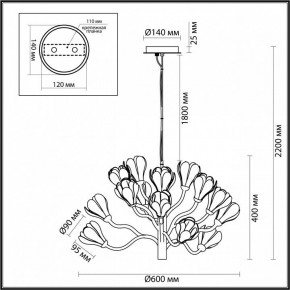 Подвесная люстра Odeon Light Gardi 5090/15 в Чайковском - chaykovskiy.mebel24.online | фото 6