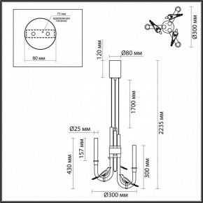 Подвесная люстра Odeon Light Lark 5431/6L в Чайковском - chaykovskiy.mebel24.online | фото 5