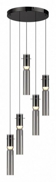 Подвесная люстра Odeon Light Scrow 5058/25L в Чайковском - chaykovskiy.mebel24.online | фото 2