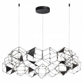 Подвесная люстра Odeon Light Trellis 5087/68L в Чайковском - chaykovskiy.mebel24.online | фото 3