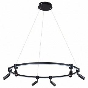 Подвесной светильник Arte Lamp Ring A2186SP-1BK в Чайковском - chaykovskiy.mebel24.online | фото 2