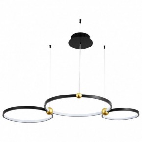 Подвесной светильник Divinare Amadeo 1123/04 SP-75 в Чайковском - chaykovskiy.mebel24.online | фото