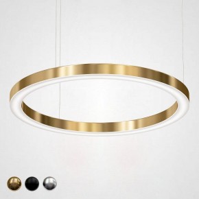 Подвесной светильник Imperiumloft Light Ring Horizontal 40.1454-100 в Чайковском - chaykovskiy.mebel24.online | фото