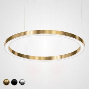 Подвесной светильник Imperiumloft Light Ring Horizontal 40.1454-120 в Чайковском - chaykovskiy.mebel24.online | фото