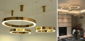 Подвесной светильник Imperiumloft Light Ring Horizontal 40.1454-80 в Чайковском - chaykovskiy.mebel24.online | фото 2