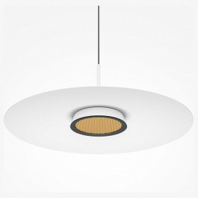 Подвесной светильник Maytoni Halo MOD041PL-L15W3K1 в Чайковском - chaykovskiy.mebel24.online | фото