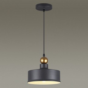 Подвесной светильник Odeon Light Bolli 4088/1 в Чайковском - chaykovskiy.mebel24.online | фото 4