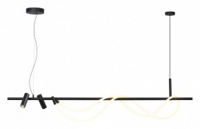 Подвесной светильник Odeon Light Corda 4391/40L в Чайковском - chaykovskiy.mebel24.online | фото 2