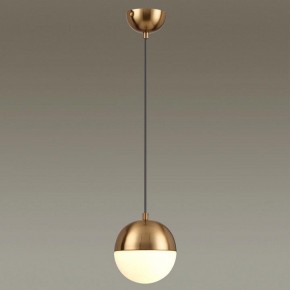 Подвесной светильник Odeon Light Pinga 4960/1 в Чайковском - chaykovskiy.mebel24.online | фото 2