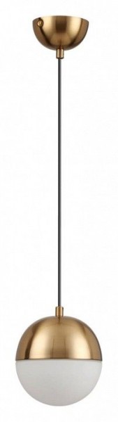 Подвесной светильник Odeon Light Pinga 4960/1 в Чайковском - chaykovskiy.mebel24.online | фото 3