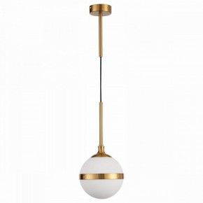 Подвесной светильник ST-Luce Arbe SL1157.303.01 в Чайковском - chaykovskiy.mebel24.online | фото 2