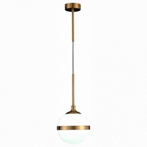 Подвесной светильник ST-Luce Arbe SL1157.303.01 в Чайковском - chaykovskiy.mebel24.online | фото 3