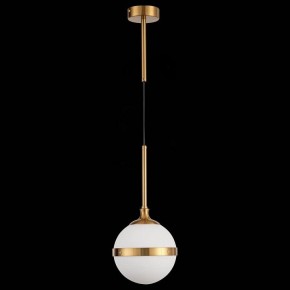 Подвесной светильник ST-Luce Arbe SL1157.303.01 в Чайковском - chaykovskiy.mebel24.online | фото 4