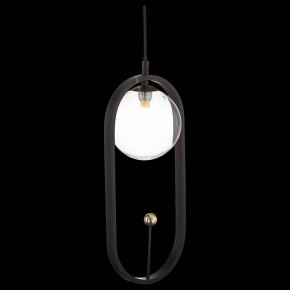 Подвесной светильник ST-Luce Circono SL1201.403.01 в Чайковском - chaykovskiy.mebel24.online | фото 4
