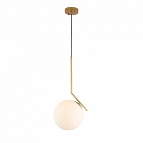 Подвесной светильник ST-Luce Codda SL1148.303.01 в Чайковском - chaykovskiy.mebel24.online | фото 2