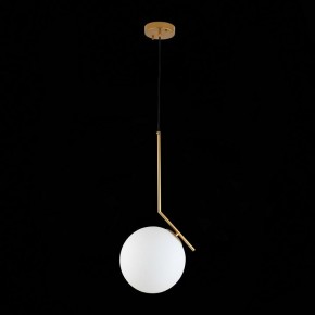 Подвесной светильник ST-Luce Codda SL1148.303.01 в Чайковском - chaykovskiy.mebel24.online | фото 6