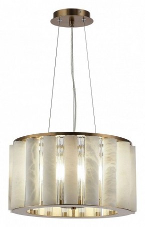 Подвесной светильник ST-Luce Delight SL1516.303.06 в Чайковском - chaykovskiy.mebel24.online | фото 3