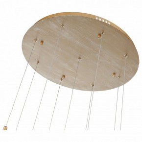Подвесной светильник ST-Luce SL1116 SL1116.203.09 в Чайковском - chaykovskiy.mebel24.online | фото 4