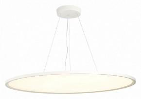 Подвесной светильник ST-Luce ST602 ST602.543.120 в Чайковском - chaykovskiy.mebel24.online | фото 3