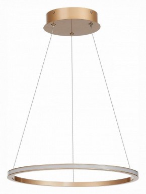 Подвесной светильник ST-Luce ST604 OUT ST604.243.22 в Чайковском - chaykovskiy.mebel24.online | фото 2