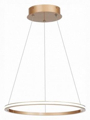 Подвесной светильник ST-Luce ST604 OUT ST604.243.22 в Чайковском - chaykovskiy.mebel24.online | фото 3