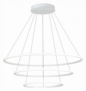 Подвесной светильник ST-Luce ST604 OUT ST604.543.114 в Чайковском - chaykovskiy.mebel24.online | фото 3