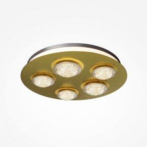 Потолочная люстра Maytoni Pharao MOD361CL-L58BS3K в Чайковском - chaykovskiy.mebel24.online | фото