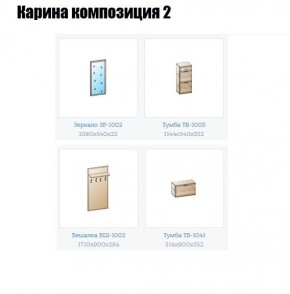 Прихожая Карина (модульная) в Чайковском - chaykovskiy.mebel24.online | фото 6