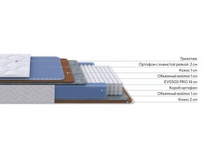 PROxSON Матрас Active Duo M/F (Ткань Трикотаж Эко) 200x200 в Чайковском - chaykovskiy.mebel24.online | фото 2