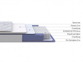 PROxSON Матрас Active Duo S/F (Ткань Трикотаж Эко) 180x190 в Чайковском - chaykovskiy.mebel24.online | фото 2