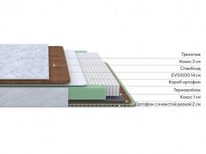PROxSON Матрас Green Duo M/F (Tricotage Dream) 140x195 в Чайковском - chaykovskiy.mebel24.online | фото 2