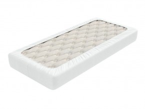 PROxSON Защитный чехол Aqua Save Light M (Ткань влагостойкая Tencel Jersey) 80x195 в Чайковском - chaykovskiy.mebel24.online | фото 2