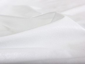 PROxSON Защитный чехол Aqua Save Plush S (Ткань влагостойкая Coral Fleece) 200x220 в Чайковском - chaykovskiy.mebel24.online | фото 6