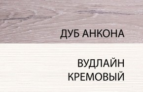 Шкаф 1DZ, OLIVIA, цвет вудлайн крем/дуб анкона в Чайковском - chaykovskiy.mebel24.online | фото 3