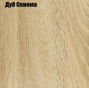 ЧЕЛСИ Шкаф 2-х створчатый (2УПК) комбинированный в Чайковском - chaykovskiy.mebel24.online | фото 4