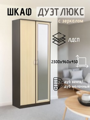 Шкаф 2-х створчатый Дуэт Люкс с зеркалом в Чайковском - chaykovskiy.mebel24.online | фото