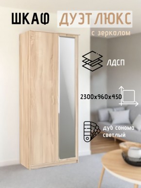 Шкаф 2-х створчатый Дуэт Люкс с зеркалом в Чайковском - chaykovskiy.mebel24.online | фото 7