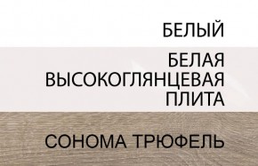 Шкаф 2D/TYP 20A, LINATE ,цвет белый/сонома трюфель в Чайковском - chaykovskiy.mebel24.online | фото 4