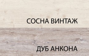 Шкаф 2DG2S, MONAKO, цвет Сосна винтаж/дуб анкона в Чайковском - chaykovskiy.mebel24.online | фото