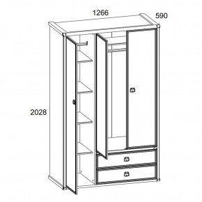 Шкаф 3DG2S, MAGELLAN, цвет Сосна винтаж в Чайковском - chaykovskiy.mebel24.online | фото 4